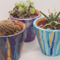 Mini plant pots