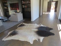 Large cowhide up to 2.6 meters in Length