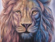 Original Painting - Lion 