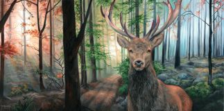 Original Painting - Stag 