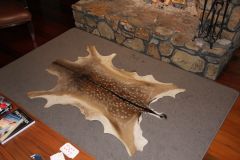 Fallow deer skin