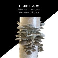 Grow your own mushrooms