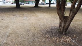 Stalls  marked out in the central square