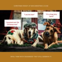 Christmas dogs